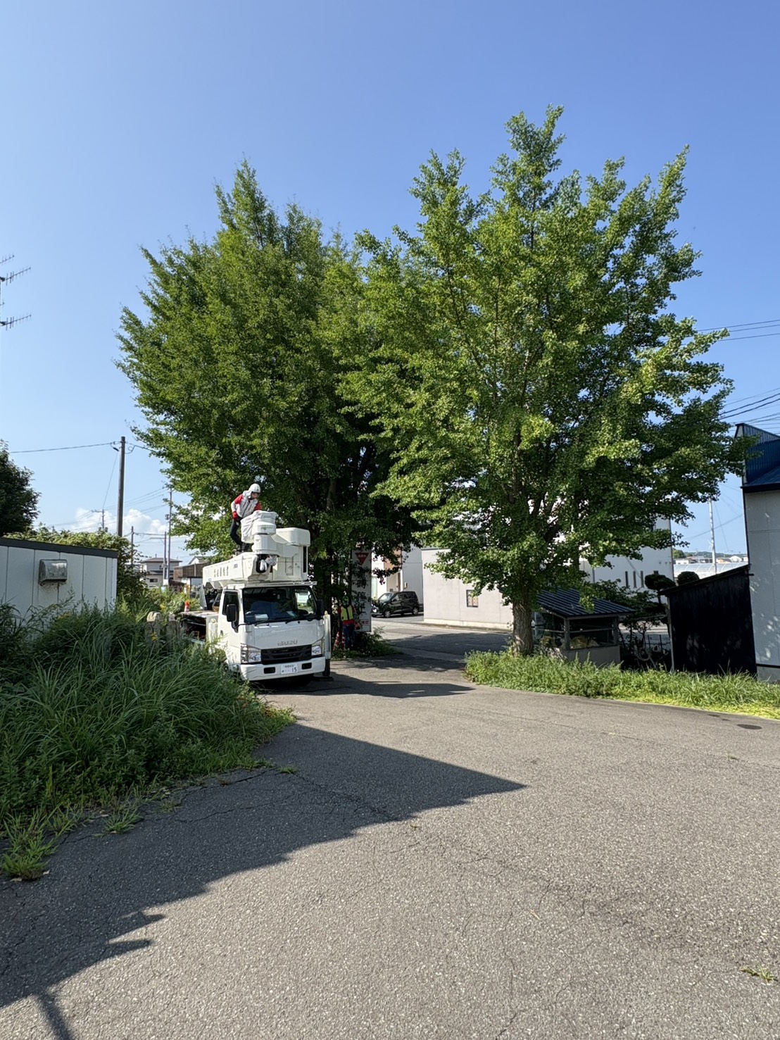 before
